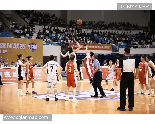 全国各省市体育明星综合排名榜揭晓引发热议与关注