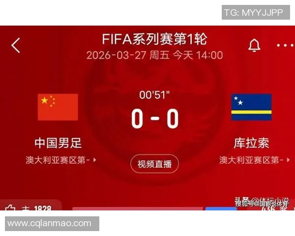 国足对阵印尼精彩直播回顾与赛后分析，助力中国足球崛起之路